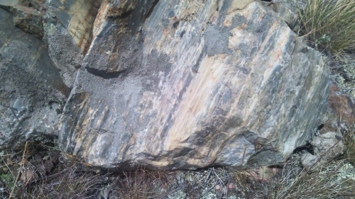 Гигантские зелёные валуны для ландшафтного дизайна весом более 5 тонн купить в Ярославле