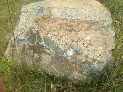 Гигантские зелёные валуны для ландшафтного дизайна весом более 5 тонн купить в Ярославле